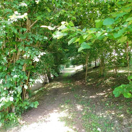 Bed & Breakfast Domaine La Bastide *